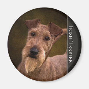 Irisches Terrier-Magnet Magnet