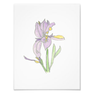 Irisdruck Fotodruck
