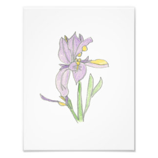 Irisdruck Fotodruck
