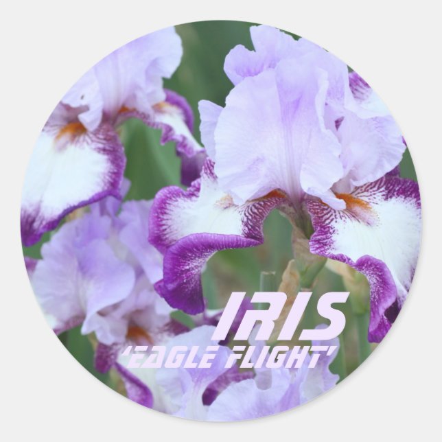 Iris'Ele Flight' [Round Siegel] ラ ウ  シ ル agド Runder Aufkleber (Vorderseite)