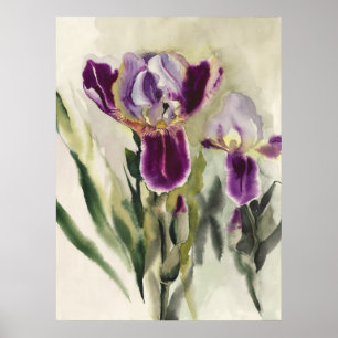 Irises Aquarellmalerei Poster