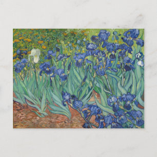 Irises Blue Green Yellow Van Gogh Postkarte