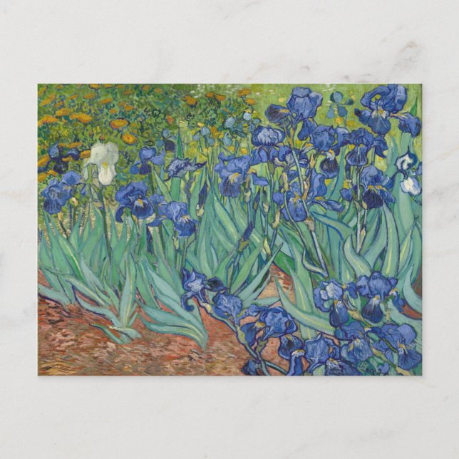 Irises Blue Green Yellow Van Gogh Postkarte (Vorderseite)