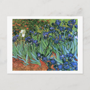 Irises (F608) Van Gogh Fine Art Postkarte