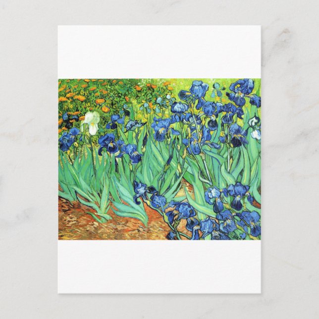 Irises ~ Monet Postkarte (Vorderseite)