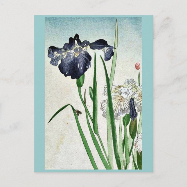 Irises Ukiyoe Postkarte (Vorderseite)