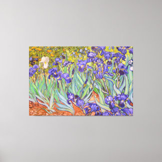 Irises Vincent Van Gogh Fine Art Leinwanddruck