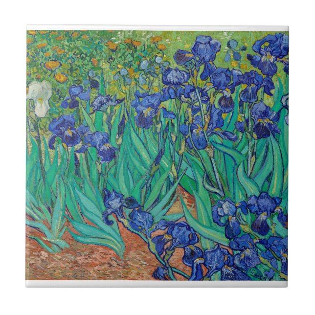 Irises Vincent Van Gogh Fliese (Vorderseite)