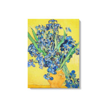 Irises Vincent van Gogh