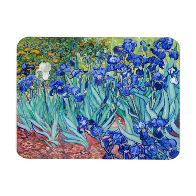 Irises Vincent van Gogh Magnet (Horizontal)