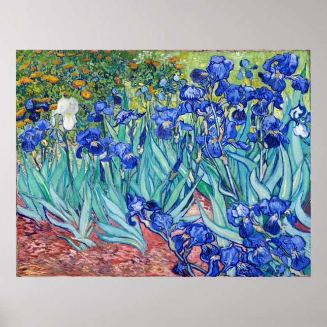 Irises Vincent van Gogh Poster (Vorne)