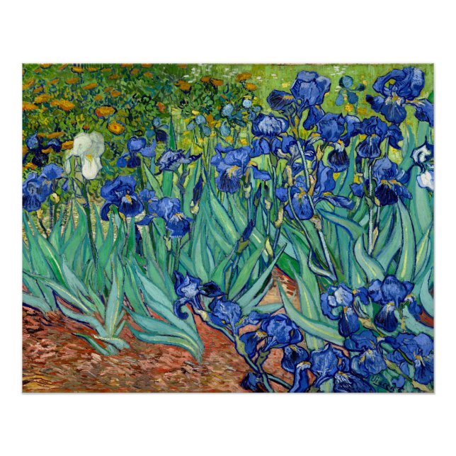 Irises Vincent van Gogh Vintage Malerei Poster (Vorderseite)