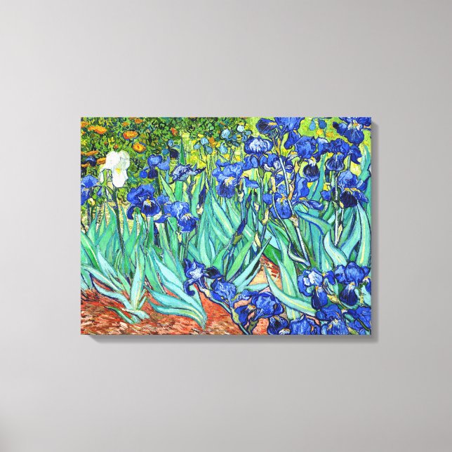Irises von Vincent Van Gogh Leinwanddruck (Vorderseite)