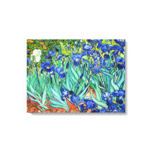 Irises von Vincent Van Gogh