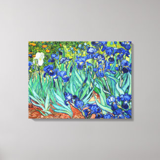 Irises von Vincent Van Gogh Leinwanddruck