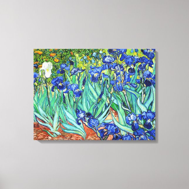 Irises von Vincent Van Gogh Leinwanddruck (Vorderseite)