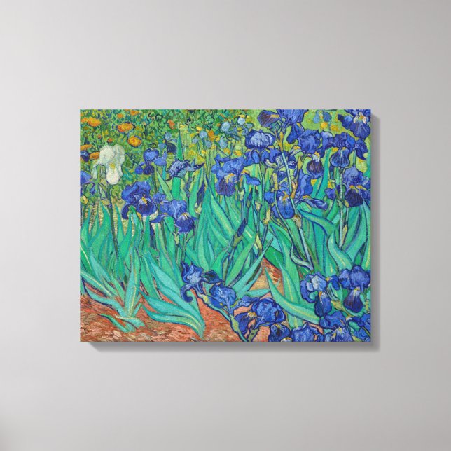 Irises von Vincent Van Gogh Leinwanddruck (Vorderseite)