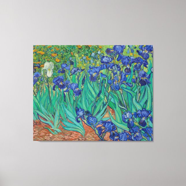 Irises von Vincent Van Gogh Leinwanddruck (Vorderseite)