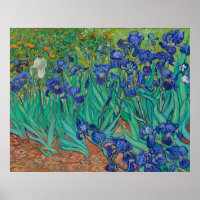 Irises von Vincent Van Gogh