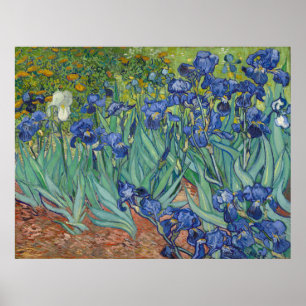 Irises von Vincent Van Gogh Poster