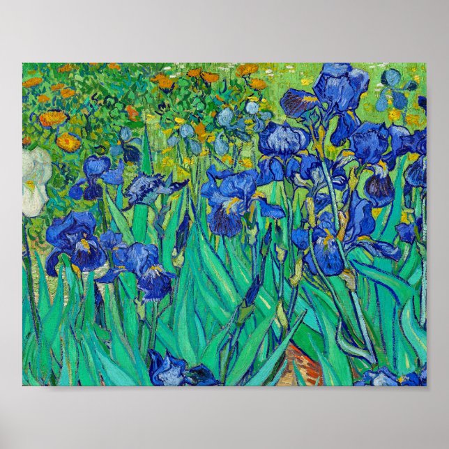 Irises von Vincent Van Gogh Poster (Vorne)