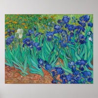 Irises von Vincent Van Gogh