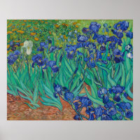 Irises von Vincent Van Gogh