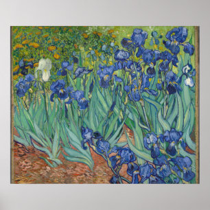 Irises von Vincent Van Gogh Poster