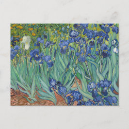 Irises von Vincent Van Gogh Postkarte