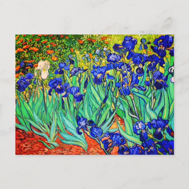 Irises von Vincent Van Gogh Postkarte (Vorderseite)