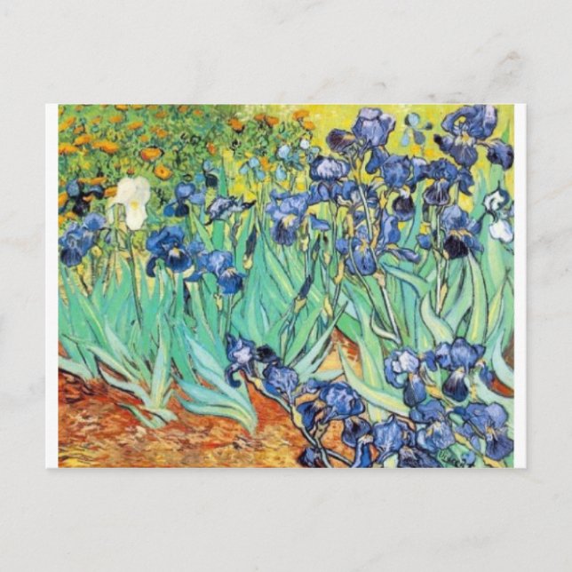 Irises von Vincent Van Gogh Postkarte (Vorderseite)