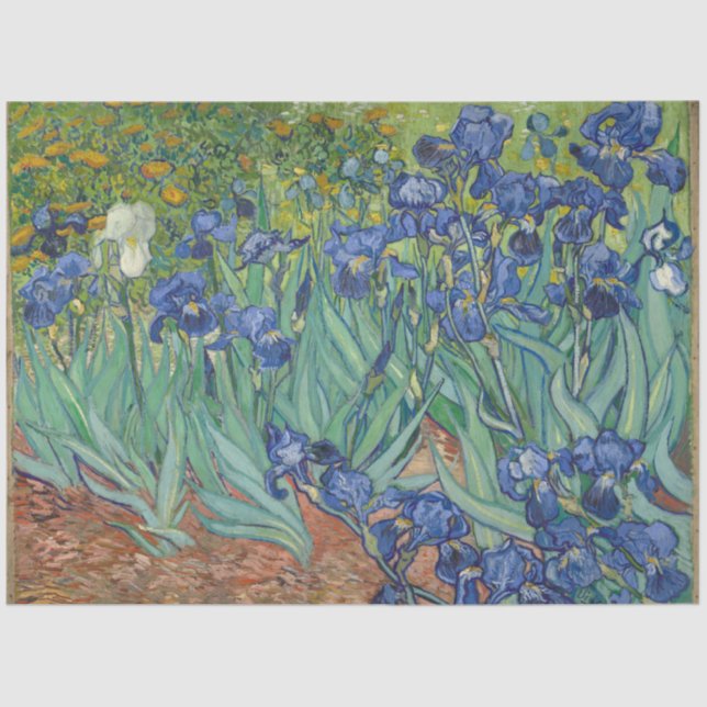 Irises von Vincent Van Gogh Seidenpapier (Vorderseite)
