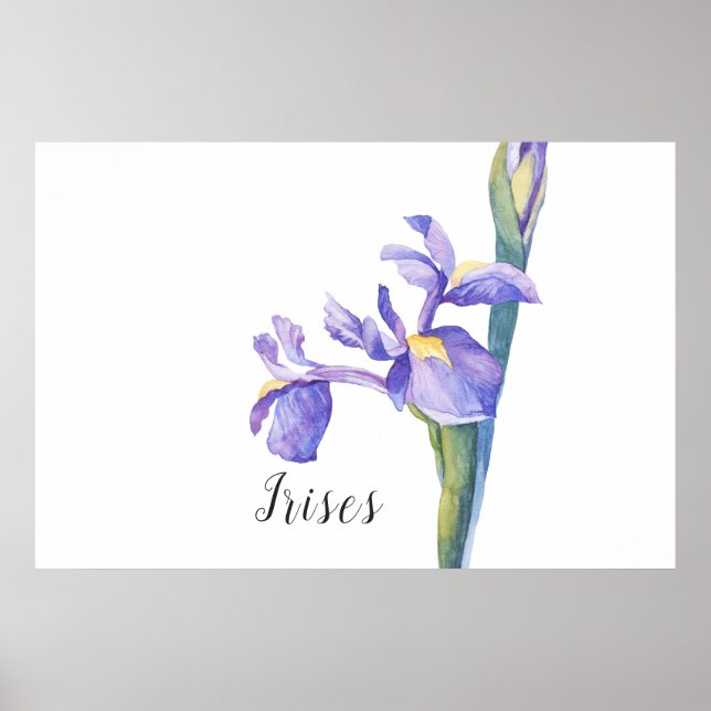 Irises Watercolor Floral Poster (Vorne)