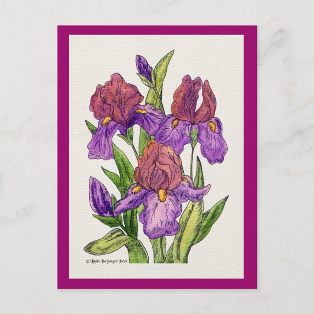 Irises Watercolor Postkarte (Vorderseite)