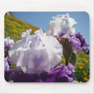 Irises White Lila Iris Blume mousepad Hillside