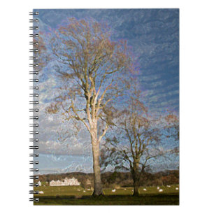 Irish Beech Trees Notizblock