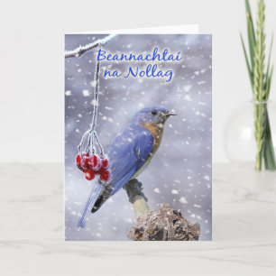 Irish - Blue Bird Christmas Grußkarte Feiertagskarte