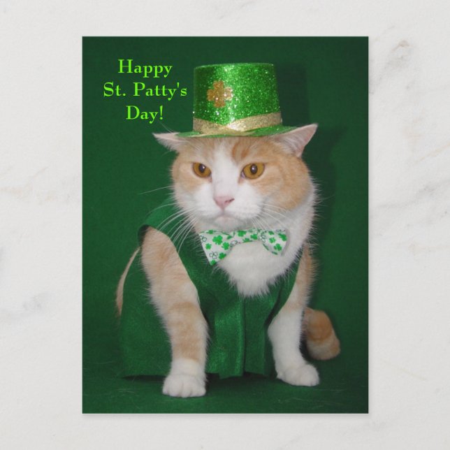 Irish Bubba Kitty Postkarte (Vorderseite)