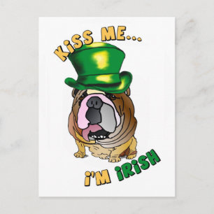 Irish Bulldog Postcard Postkarte