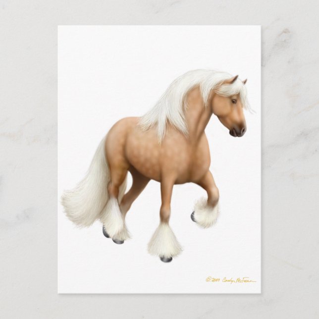 Irish Cob Horse Postcard Postkarte (Vorderseite)
