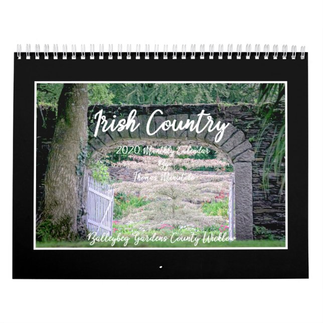 Irish Country 2020 Calendar By Tom Minutolo Kalender (Titelbild)
