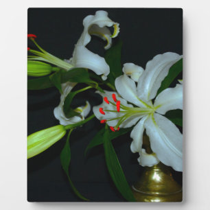 Irish Design-Messing- und Blumenkollektion Fotoplatte