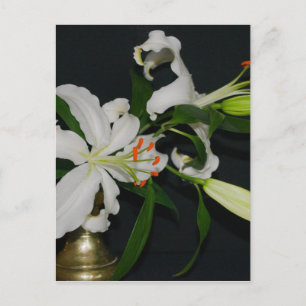 Irish Design-Messing- und Blumenkollektion Postkarte