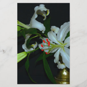 Irish Design-Messing- und Blumensammlung Briefpapier