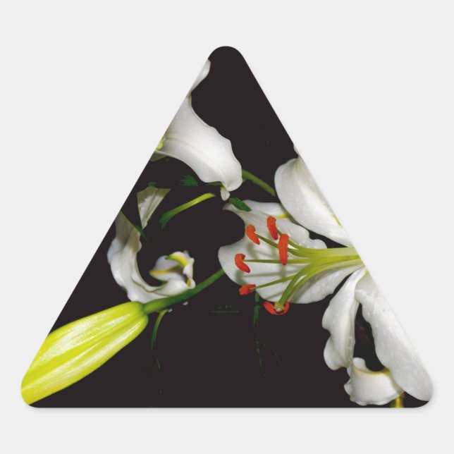 Irish Design - Sammlung von Messing und Blume Dreieckiger Aufkleber (Vorderseite)