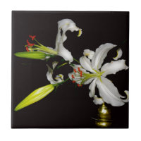 Irish Design - Sammlung von Messing und Blume