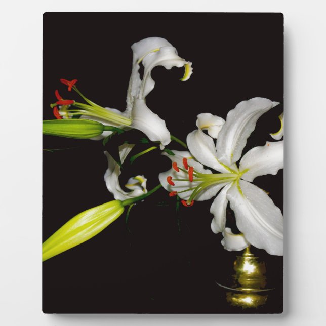 Irish Design - Sammlung von Messing und Blume Fotoplatte (Vorderseite)