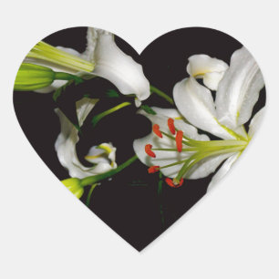 Irish Design - Sammlung von Messing und Blume Herz-Aufkleber