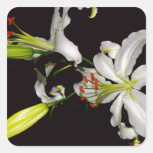 Irish Design - Sammlung von Messing und Blume Quadratischer Aufkleber