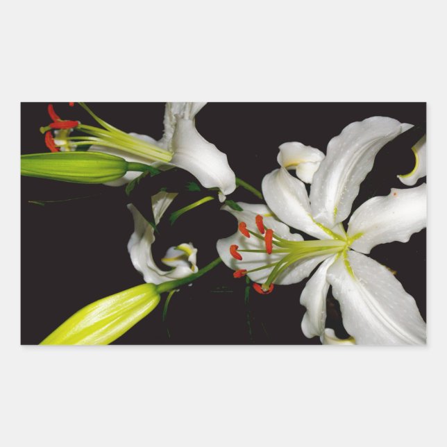 Irish Design - Sammlung von Messing und Blume Rechteckiger Aufkleber (Vorderseite)